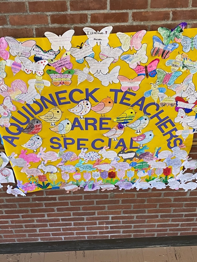 teachers